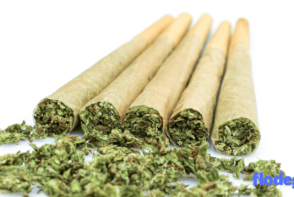 best-pre-rolls-canada-2026