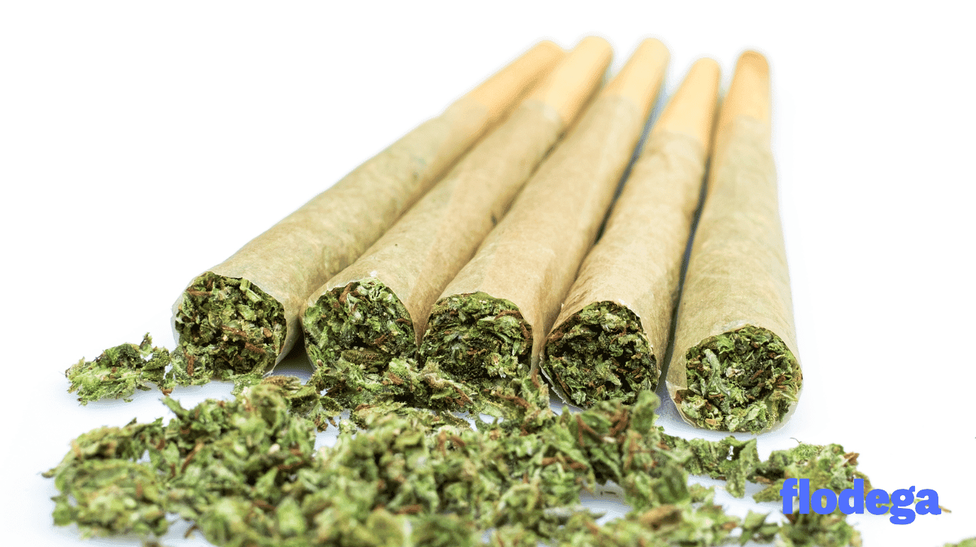 best-pre-rolls-canada-2026