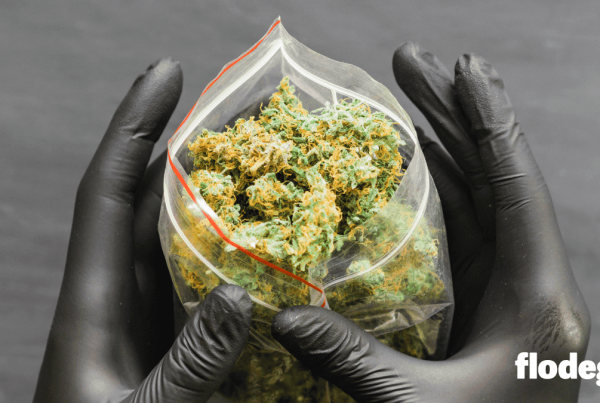 best-weed-strains-2026