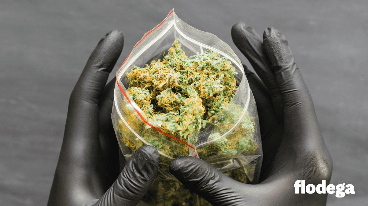 best-weed-strains-2026