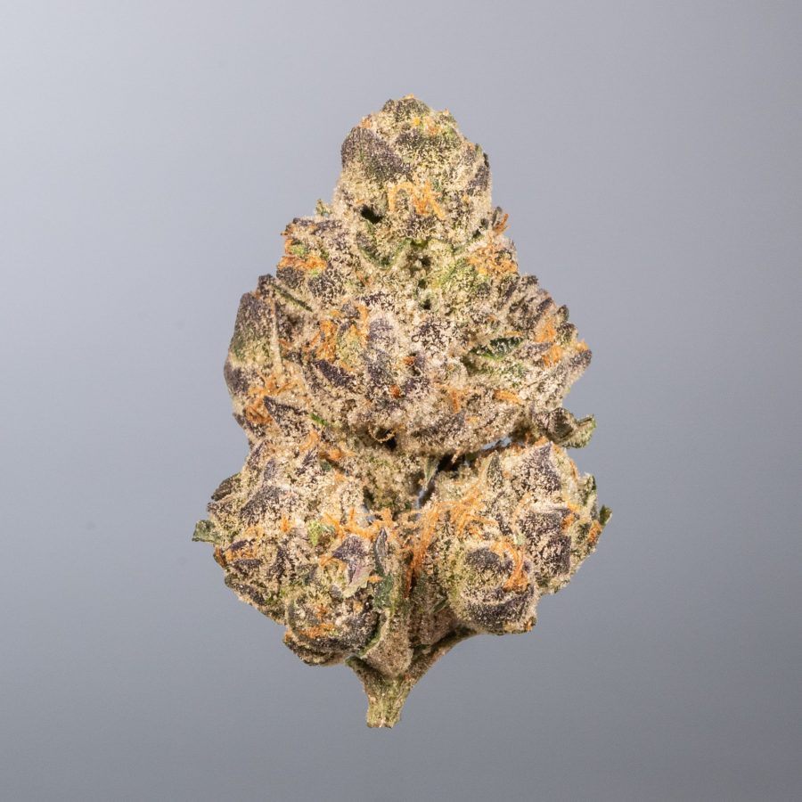 Platinum Blue Gelatti