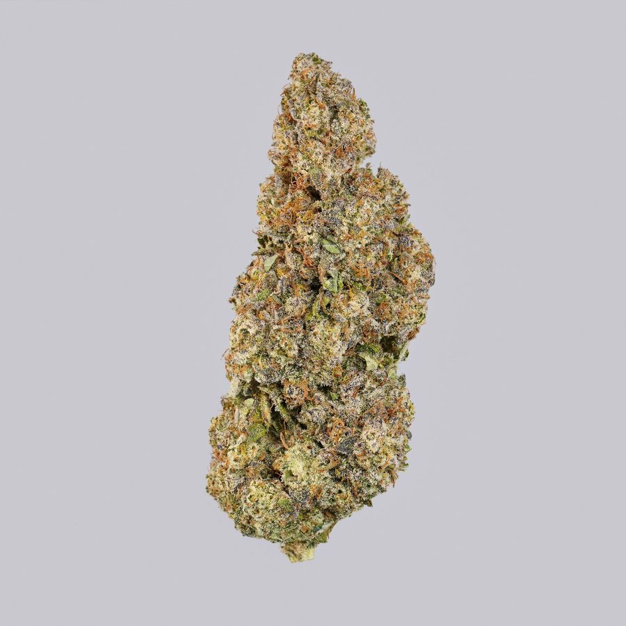 Jack Herer