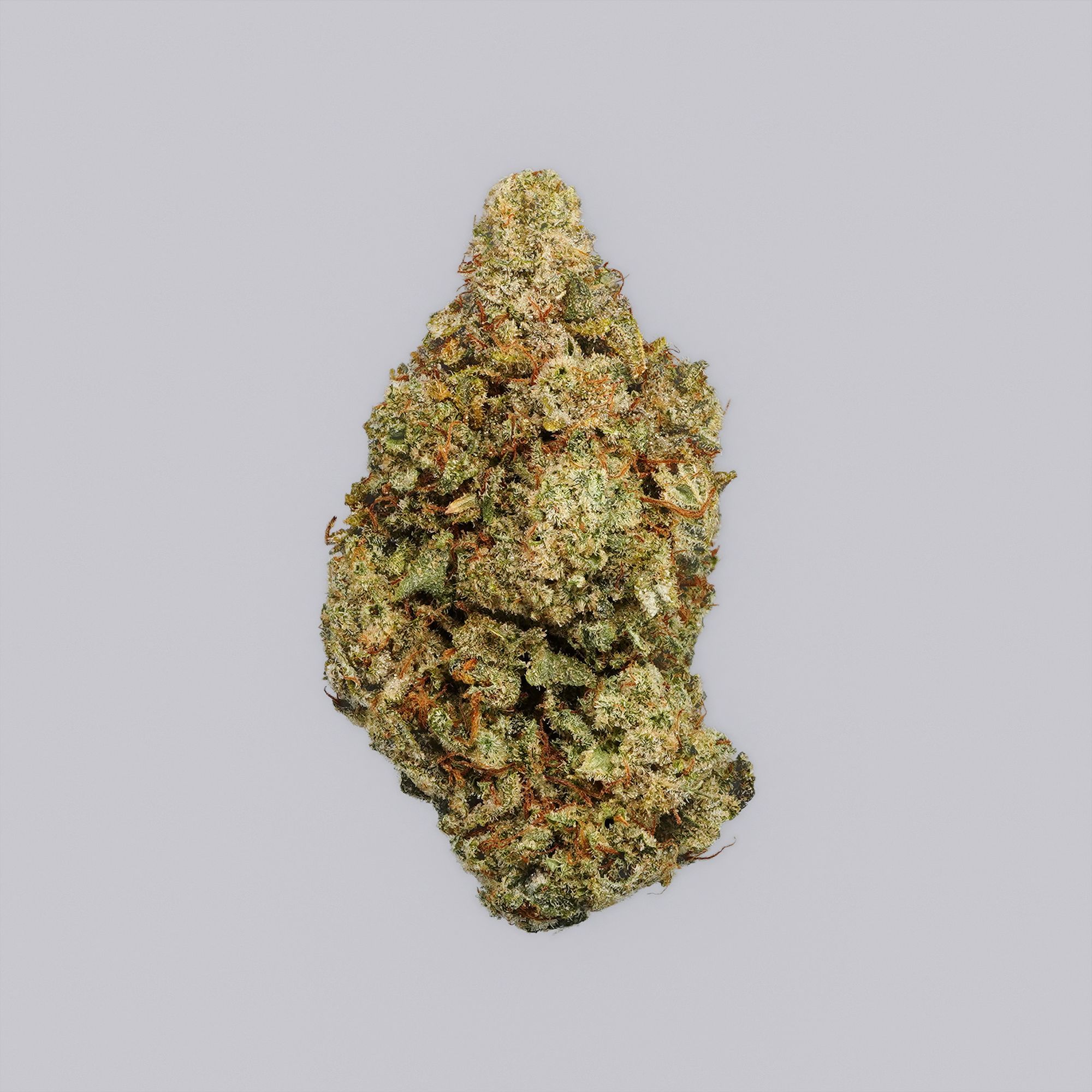 GG4-Main